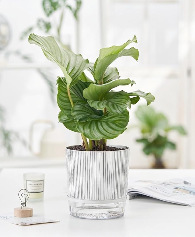 Self Watering Pots for Indoor Plants, Flower Pots, Self Watering Plant Pot-2pcs 4+5.3inch Black Stripes