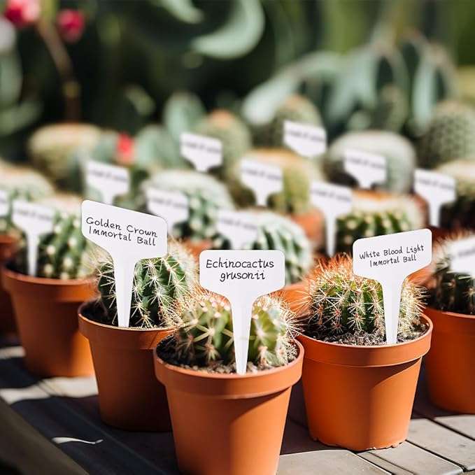 200pcs Plant Labels, Garden Markers Signs, Outdoor Waterproof Stakes, 4 Inch Plastic Tags for Seedlings, Gardening Supplies, Greenhouse Accessories, Nursery
