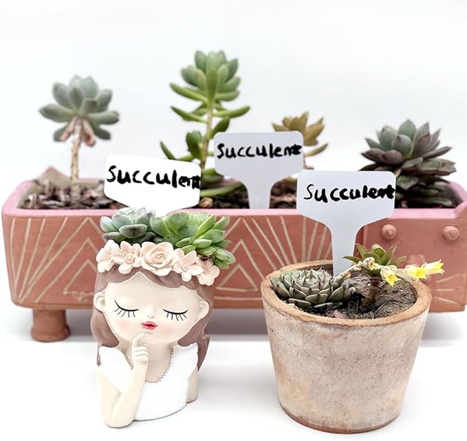 100 T-Type Plastic Plant Labels (Garden Markers Waterproof Signs for Outdoor Plant Tags Plant Markers Supplies (NO Pen) Plant T-Type Tags Indoor Herb Nursery Garden Labels