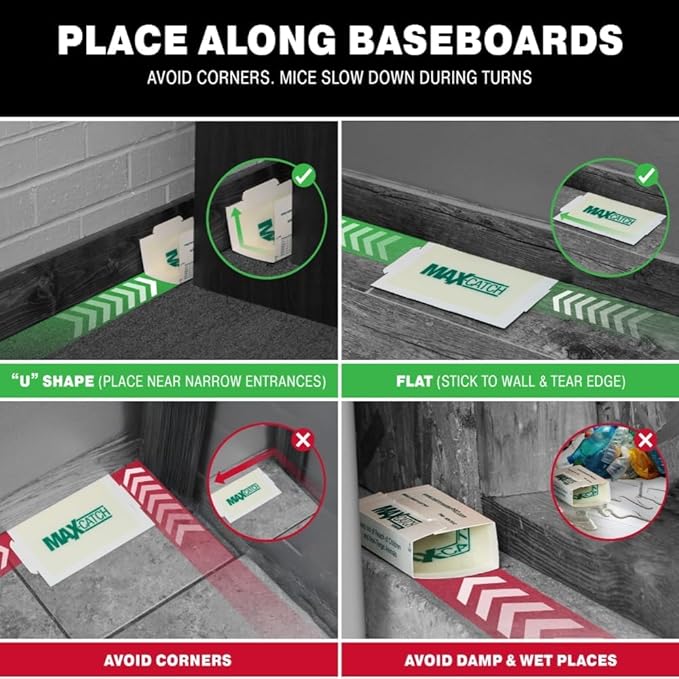 Catchmaster Max-Catch Mouse & Insect Glue Trap 72PK, Mouse Traps Indoor for Home, Sticky Pest Control Adhesive Tray for Catching Bugs, Non Toxic Bulk Unscented Glue Boards