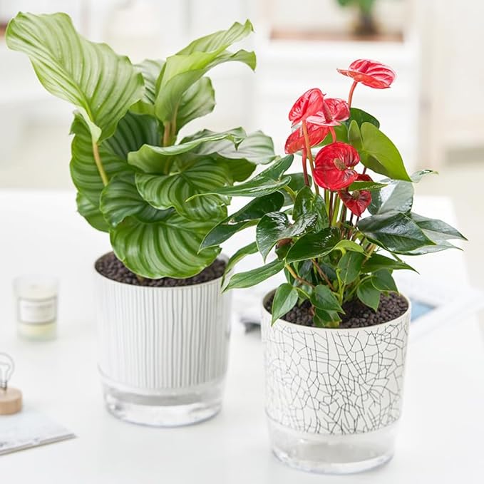 Self Watering Pots for Indoor Plants, 5 & 4 Inch Stylish Flower Pots, Set of 4 Modern Planters with Self-Watering Feature (Mixed Colors)