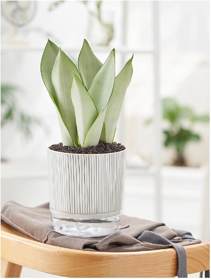 Self Watering Pots for Indoor Plants, Flower Pots, Self Watering Plant Pot-2pcs 4+5.3inch Black Stripes