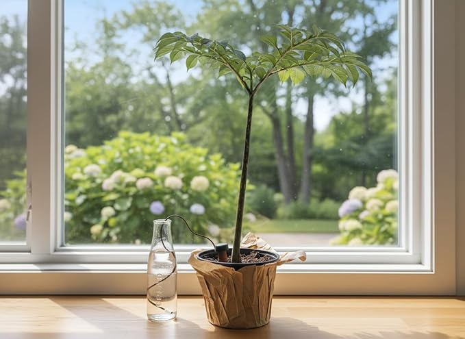 Blumat Classic Plant Watering Stakes (9 Pack) (with Adapter)