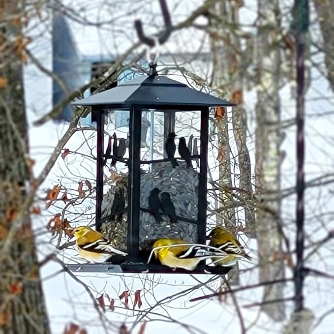 Vivace Bird Feeder, Large 4LBs Metal Hanging Feeder With Perches for Wild Birds, Outdoor Garden and Backyard, Black