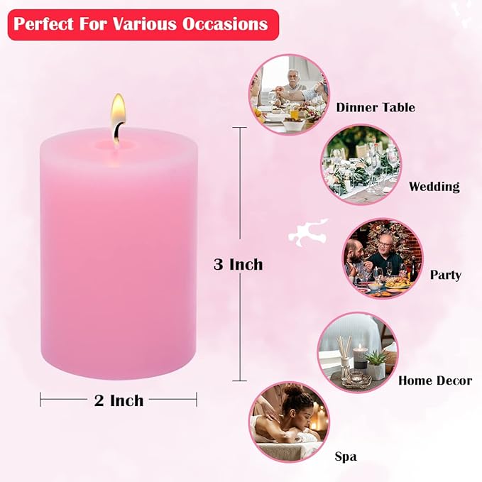12 Pack 2x3 Inch Pink Pillar Candles for Romantic Valentine's Day, Unscented Column Candles for Home Restaurants Spa Church Weddings, Smokeless Dripless and Clean Burning Emergency Candle