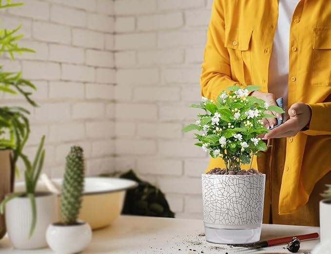 Self Watering Pots for Indoor Plants, 5 & 4 Inch Stylish Flower Pots, Set of 4 Modern Planters with Self Watering Plant Feature (Crack Texture)
