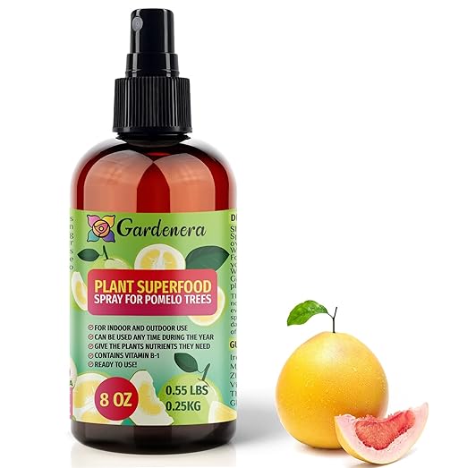 ππππππππππ Plant Superfood for Pomelo Trees with B1 Vitamin, Glucose and Essential Minerals - Organic Plant Food Fertilizer for Indoor & Outdoor Pomelo Tree Care - 8oz