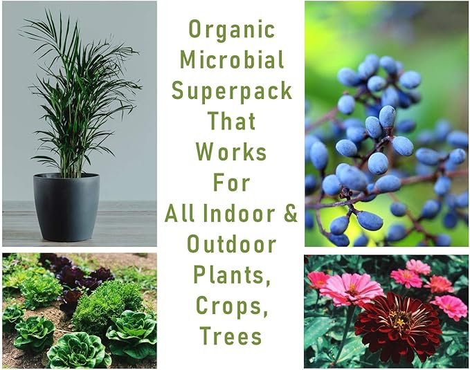 Mikrobs - Microbial Superpack for Living Soil. Revitalize Plants (8 Oz)