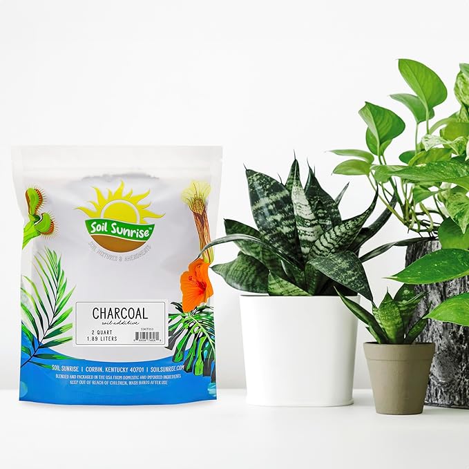 Horticultural Charcoal for Indoor Plants (2 Quarts), Hardwood Soil Additive for Orchids, Terrariums, and Gardening