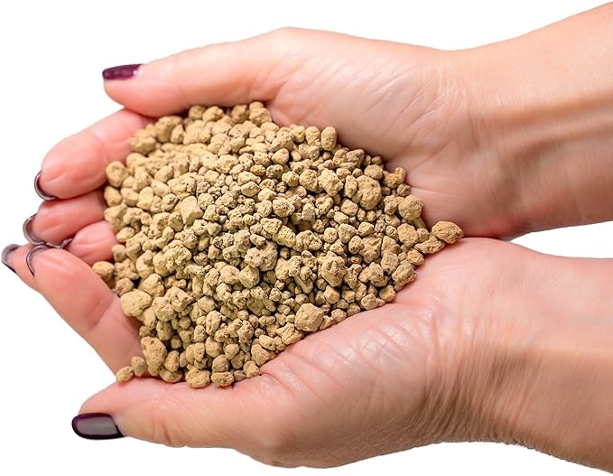 Premium Alocasia Plant Soil Mix by Gardenera - Stimulate Growth and Elevate Leaf Elegance with Nourishing Formula - 5 Quart