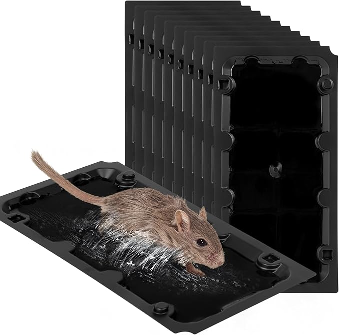 10 Pack Sticky Mouse Trap Rat Traps Indoor, Peanut Taste Pheromone Mouse Traps Indoor for Home