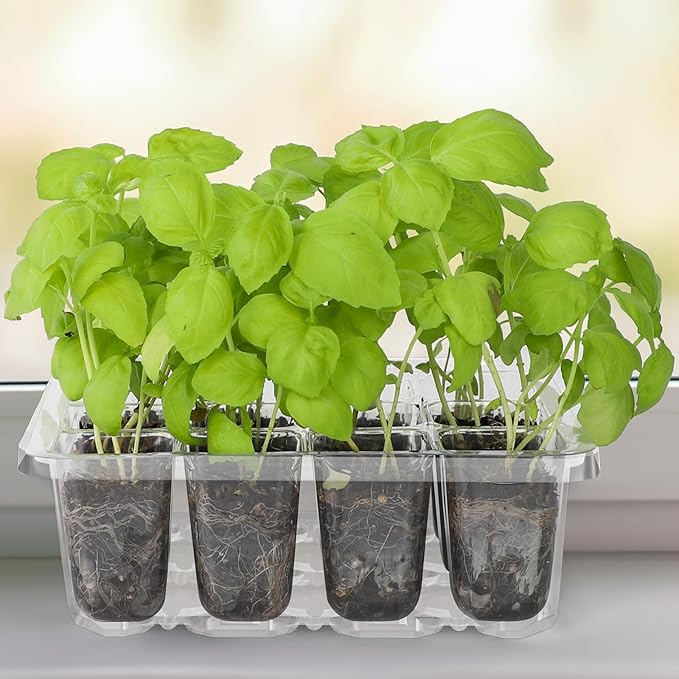 MIXC 10 Packs Seed Starter Tray Seed Starter Kit with Humidity Dome (120 Cells Total Tray) Seed Starting Trays Plant Starter Kit and Base Mini Greenhouse Germination Kit for Seeds Growing Starting