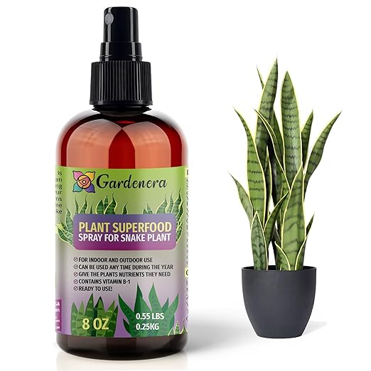 ππππππππππ Plant Superfood for Snake Plants with B1 Vitamin, Glucose and Essential Minerals - Organic Plant Food Fertilizer for Indoor & Outdoor Snake Plant Care - 8oz