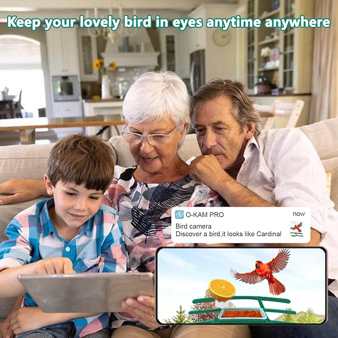 2.5K Smart Bird Feeder with Camera, 5GHz &2.4GHz Birds Watching Camera with AI Identify Bird Species, Outdoor Birds Feeder House with Solar Panel for BirdLovers (Green)