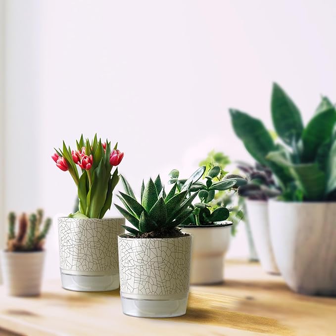 Self Watering Pots for Indoor Plants, Flower Pots, Self Watering Plant Pot-2pcs 4+5.3inch Crack Texture