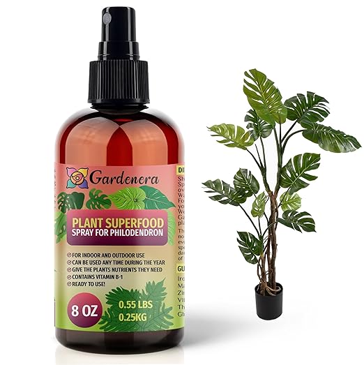 ππππππππππ Plant Superfood for PHILODENDRON Plants with B1 Vitamin, Glucose and Essential Minerals - Organic Plant Food Fertilizer for Indoor & Outdoor PHILODENDRON Plant Care - 8oz