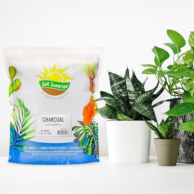 Horticultural Charcoal for Indoor Plants (8 Quarts), Hardwood Soil Additive for Orchids, Terrariums, and Gardening