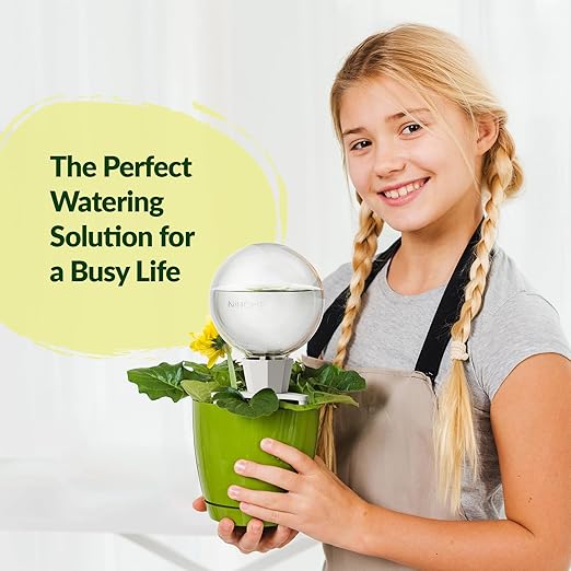 NiHome 4PCS Clay Base Plant Self-Watering Globes for Indoor Use, 17oz Large Capacity Slow Release Water Reservoir Automatic Watering System with Easy Setup for Houseplants Home Office Balcony Planters