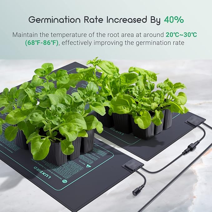 LUXBIRD 2 Pack Seedling Heat Mats with Digital Thermostat Controller, 10" x 20.75" 30W for Seed Starting, Germination, Hydroponics, Brewing, Breeding, Greenhouses (LB-HT02)