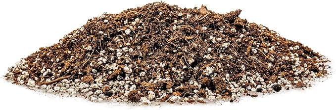 Gardenera Professional Carnivorous Plant Soil - Ready to Use for Venus Flytraps, Sundews, Pitcher Plants, Butterworts | Peat Moss, Coco Coir, Perlite - 4 Quart Bag
