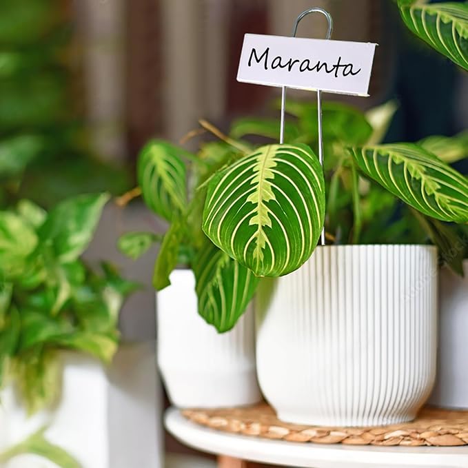 Plant Labels Metal Stainless Steel Garden Plant Markers Weatherproof Garden Stake Tag Plant Tags with Pen for Outdoor Seedling Flower Herb Vegetable Greenhouse(30 Pack) (White)