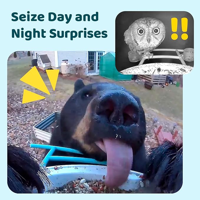 NETVUE by Birdfy Smart Bird Feeder with Camera – AI Identifies Birds Species 2MP Night Vision & App Alerts, 2.4Ghz Wi-Fi Connect IP65 Weatherproof Bird Camera-Gift for Backyard BirdWatchers, Yellow