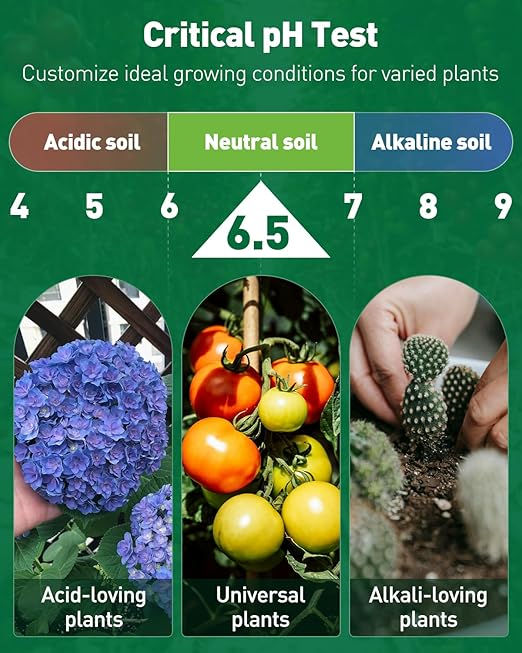 Pawfly 2 in 1 Soil Test Kit for pH & Nitrogen, 30 Strips Soil pH Test Kit, Soil pH Test Strips (3.5-9 Range), Soil Testing Kit for Lawn Garden Indoor & Outdoor