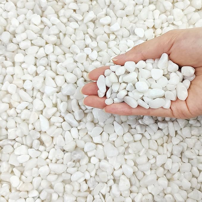 2 Pounds White Pebbles for Indoor Plants, 3/8 Inch Polished White Rocks, Decorative River Rocks for Potted Plants Vase Cactus Bird Bath and Outdoor Garden Landscaping
