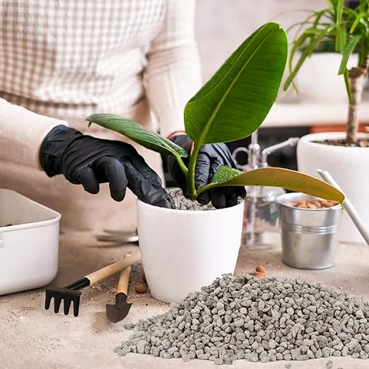 Sukh Horticultural Pumice Stone - Pumice Stone for Plants Succulent Cactus Bonsai Orchid Soil Amendment 900g