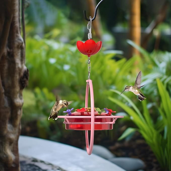 1 Pack Wide-Mouth Hummingbird Feeder for Outdoor Hanging, Nectar Bird Feeder with Ant Moat, Unique Gift