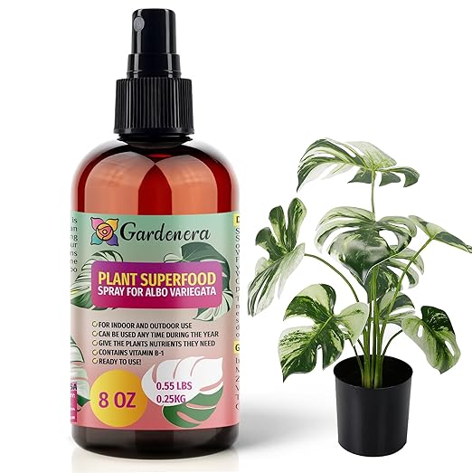 ππππππππππ Plant Superfood for ALBO VARIEGATA Plants with B1 Vitamin, Glucose and Essential Minerals - Organic Plant Food Fertilizer for Indoor & Outdoor ALBO VARIEGATA - 8oz