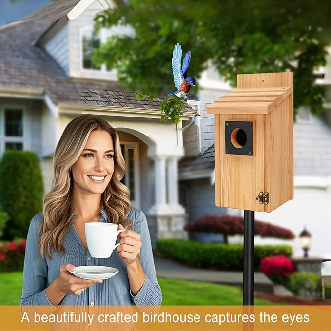 Wooden Bird Houses for Outside with Paint Set, Crafts & DIY Birdhouse Kits for Adults & Kids to Build, Bird House Outdoor for Bluebird Finch Swallow Wren Chickadee