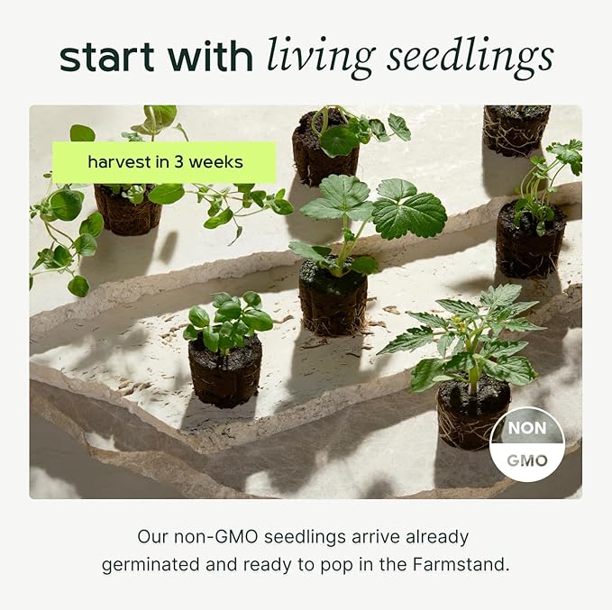 Farmstand Starter Kit + 24 Seedling Credit | Medium Hydroponic Growing System Kit | Self-Watering Outdoor Vertical Garden Planter Tower | 4ft 10in | Made in USA