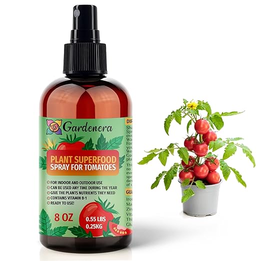 ππππππππππ Plant Superfood for Tomato Plants with B1 Vitamin, Glucose and Essential Minerals - Organic Plant Food Fertilizer for Indoor & Outdoor Tomatoes Care - 8oz