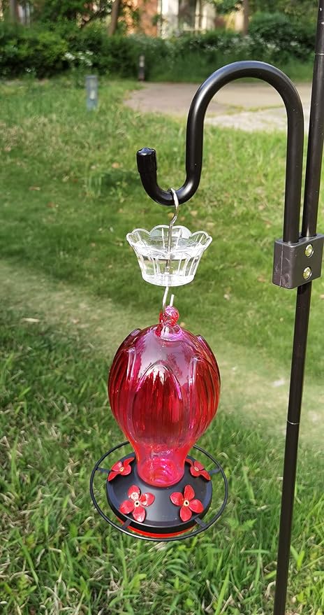 Ant Moat for Hummingbird Feeder - 3 OZ x 4 Pack Clear Insect Guard with Large Capacity