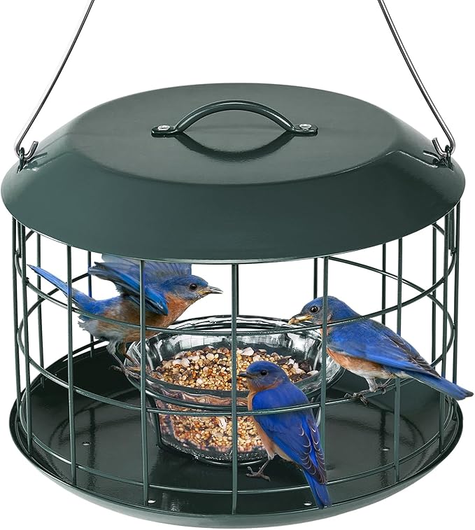 Kingsyard Bluebird Feeders for Outdoors Hanging, All Metal, Cage Bird Feeder with Tray, Squirrel Proof & Weatherproof, Easy to Refill & Clean (Green)