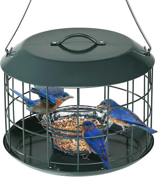 Kingsyard Bluebird Feeders for Outdoors Hanging, All Metal, Cage Bird Feeder with Tray, Squirrel Proof & Weatherproof, Easy to Refill & Clean (Green)