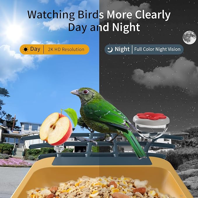 Bird Feeder with Camera - Smart Bird Cam with AI Identify BirdSpecies, Auto Record BirdVideo, Instant Notifications, 2K Video Live Stream Camera with Solar Panel for Birds Lover
