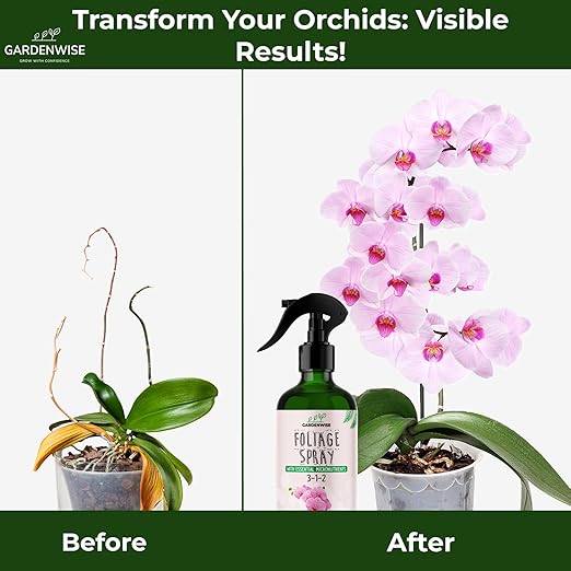 Premium Orchid Plant Food Mist β Orchid Fertilizer Spray β Orchid Food Fertilizer for Blooming β Orchid Plant Care Formula 3-1-2 β Ready-to-Use (8 OZ)