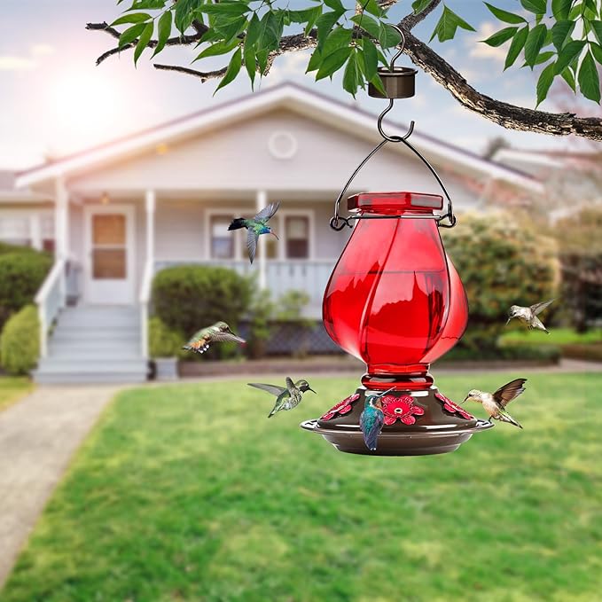 Hummingbird Feeder, BOLITE Glass Hummingbird Feeders for Outdoors Hanging, with Ant Moat and Five Feeding Ports, 22 Ounces, Leak Proof, Red, Birthday Gifts for Women Men, Gifts for Mom Dad