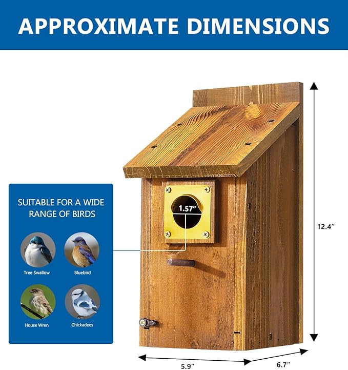 2pk Large Bluebird House for Outdoor - Extra High Size, with Perch, Mesh Base & Brass Guard - Cedar Birdhouse for Bluebirds, Finches, Swallows Carbonized Finished 5 Years Usage, Assembling Needed