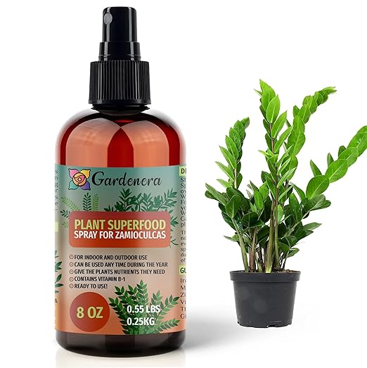 ππππππππππ Plant Superfood for ZAMIOCULCAS Plants with B1 Vitamin, Glucose and Essential Minerals - Organic Plant Food Fertilizer for Indoor & Outdoor ZAMIOCULCAS Plant Care - 8oz