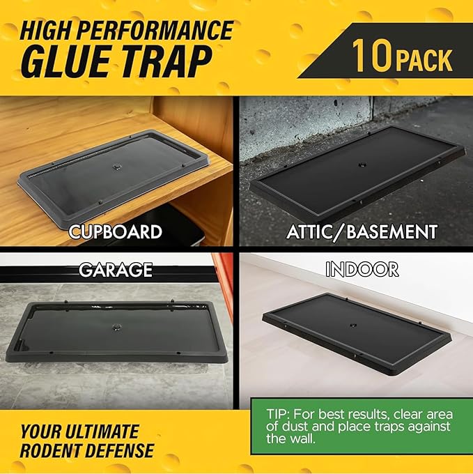 Glue Traps for Mice,Rat,Mouse,Snake,Lizard,Insect. 10 Pack. Extra Strength,Pre-Baited Adhesive.Heavy Duty Plastic Tray.Non-Toxic,Chemical-Free Pest Control for Home. 10Pack