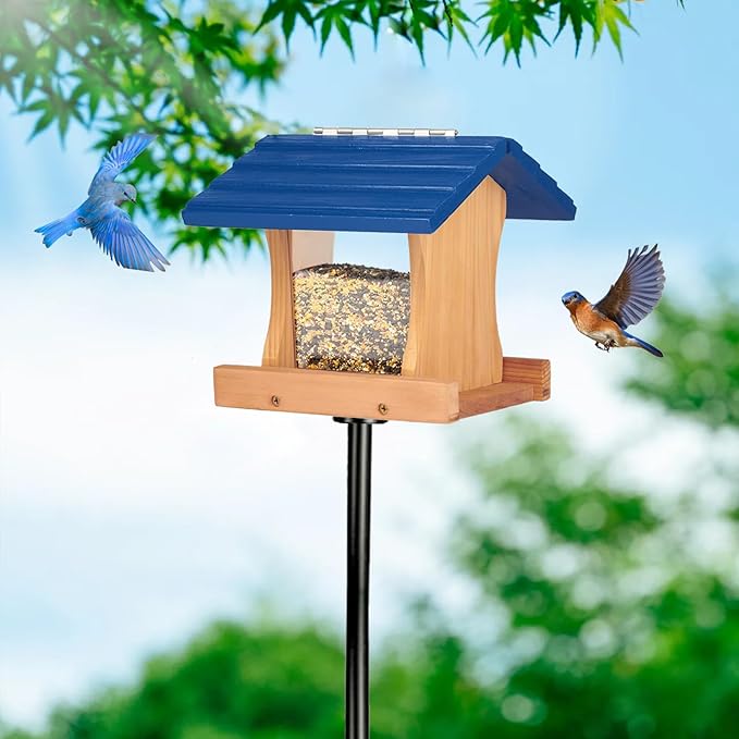 Ranch Hopper Bird Feeders for Outside Extra Thickness 13/16", Bird Feeder Kit for Kids to Build - Alaskan Red Cedar Wood Birdhouse Building with Hanging Cable, Paints and Brushes -Patented