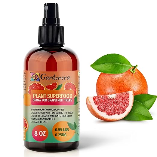 ππππππππππ Plant Superfood for Grapefruit Plants with B1 Vitamin, Glucose and Essential Minerals - Organic Plant Food Fertilizer for Indoor & Outdoor Grapefruit Tree Care - 8oz