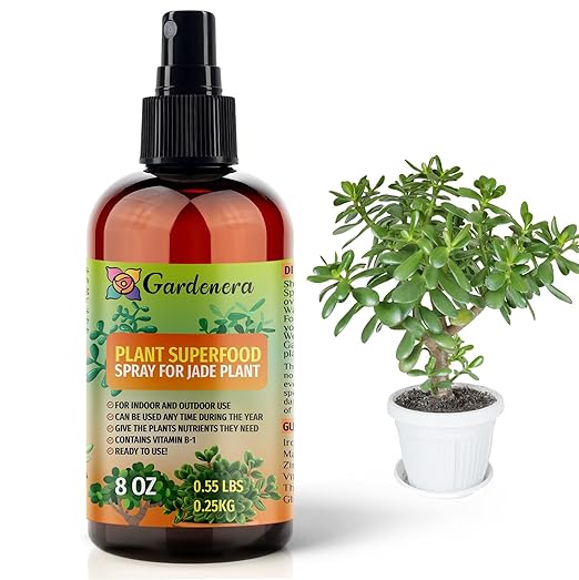 ππππππππππ Plant Superfood for Jade Plants with B1 Vitamin, Glucose and Essential Minerals - Organic Plant Food Fertilizer for Indoor & Outdoor Jade Plant Care - 8oz