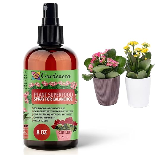 ππππππππππ Plant Superfood for KALANCHOE Plants with B1 Vitamin, Glucose and Essential Minerals - Organic Plant Food Fertilizer for Indoor & Outdoor KALANCHOE Plant Care - 8oz