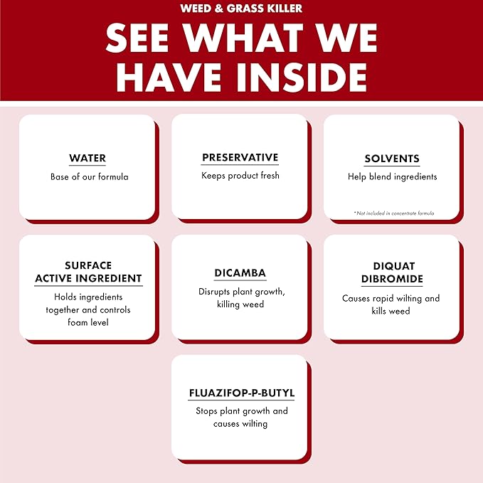 Spectracide Weed And Grass Killer Concentrate 32 Ounces, Use On Patios, Walkways And Driveways, 6 Pack