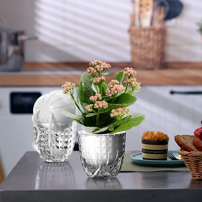 Self Watering Pots for Indoor Plants, Flower Pots, Self Watering Plant Pot-6pcs 4inch Clear