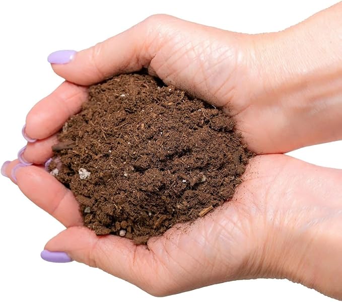 GARDENERA Premium Dracaena Potting Soil Mix - (5 Quart Bag)